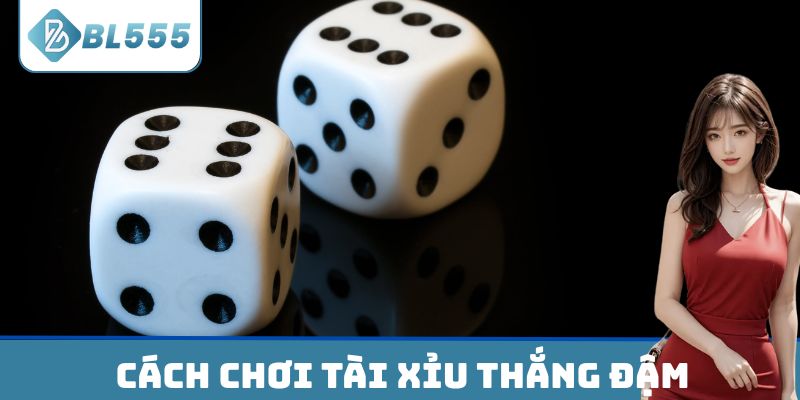 Những cách chơi tài xỉu thắng đậm từ cao thủ lâu năm