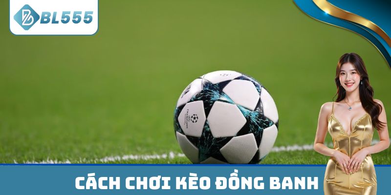 Chỉ newbie cách chơi kèo đồng banh
