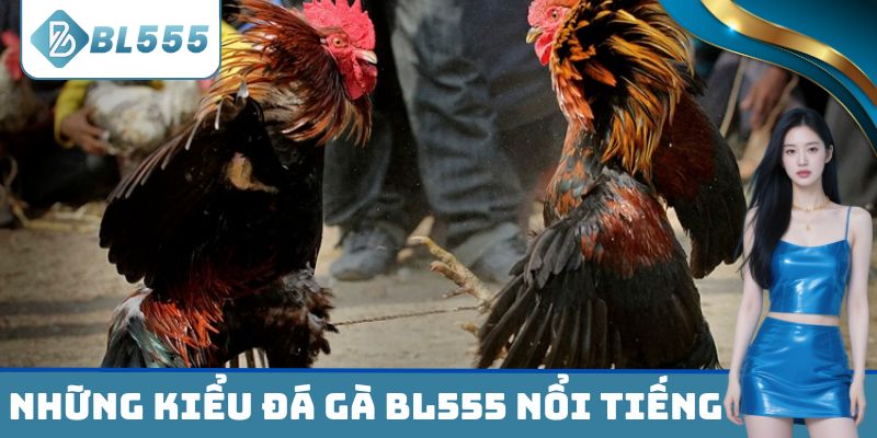 Những kiểu đá gà BL555 nổi tiếng